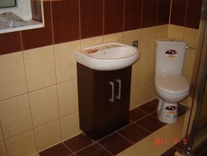 z aparatu najnowsze 347